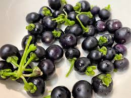 Image result for Solanum scabrum