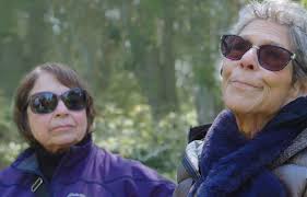 San Francisco Village 2017