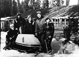 Image result for Starlight Silver 1968 Snowmobile