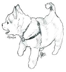 The siberian husky is a sled dog of medium size. Husky Dog Coloring Cute Husky Coloring Pages Novocom Top
