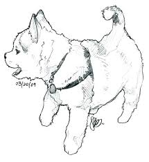 Featured here are a set of puppy coloring pages that are ready to be dabbed on with bright colors by little hands. Baby Cute Husky Coloring Pages Novocom Top