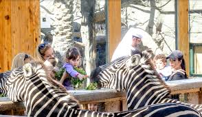 Visiting the zoo is now easier! Emirates Park Zoo Kidzapp