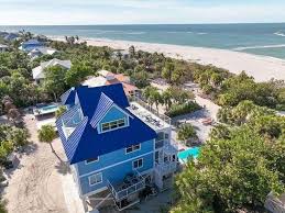 Image result for Sandy Beach Brown 2011 Captiva