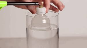 Stoner Classic: How To Make A Gravity Bong In Seven Easy Steps | Greenrush