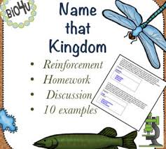 Name That Kingdom Is A General 9th Or 10th Grade Biology Worksheet That Asks Students To Identify A Mystery Kingdo Biology Worksheet 10th Grade Biology Biology