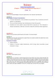Dna strands unwind, exposing the coding sequence. Ncert Solutions For Class 10 Science Chapter 8 In Pdf Form 2020 21