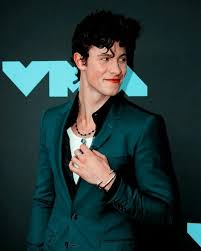 nubarita on instagram how you doin shawnmendes stayhome shawn mendes mendes shawn