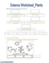 It helps us understand who we are as humans and. Science Worksheet Thursday Worksheet