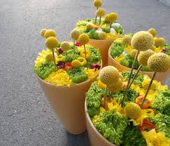 We did not find results for: Craspedia Or Billy Balls Or Billy Buttons A Native To Australia Given A New Bright Look Some Of Us Will Remeber Dutch Florist Aad Van Uffelens Tour To New Zealand In 2004 When
