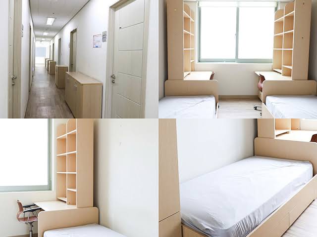 Du học Hàn Quốc: Đại học Woosong cung cấp học bổng đến 100% học phí và  chương trình học 100% bằng tiếng Anh