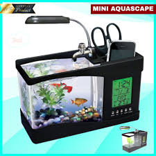 Semakin lebar aquarium, tentunya bahan bahan yang dibutuhkan untuk membuat sebuah aquarium sampai selesai memerlukan biaya yang lumayan dan juga harga aquarium pun akan semakin mahal. 3 In 1 Akuarium Aquascape Aquarium Cupang Ikan Hias Mini Kaca Kecil Unik Minimalis Usb Full Set Shopee Indonesia