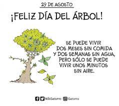 We did not find results for: Gaturro 29 De Agosto Dia Del Arbol Facebook