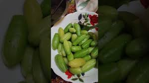 Tips cara mudah stek belimbing wuluh agar cepat tumbuh dan berbuah lebat. Jeruk Belimbing Buluh Youtube