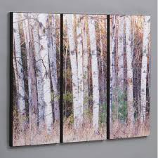Framed Birch Tree Wall Art Wilson Studios Birch Trees In The Fall 3 Piece Framed Photographic Print Set Birch Tree Art Tree Art Birch Tree Painting