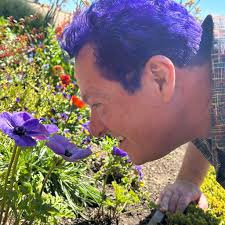 Got this one purely for the cover art!