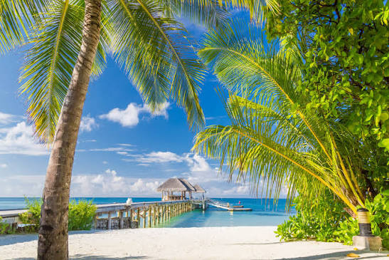 The Top Beach Vacation Destinations