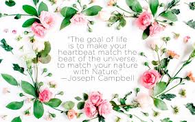 List 100 wise famous quotes about love flowers: Nature Quotes That Inspire Love Of The Earth Reader S Digest