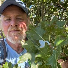 What are some good resources for identifying native plants in Mississippi  and the southeast?