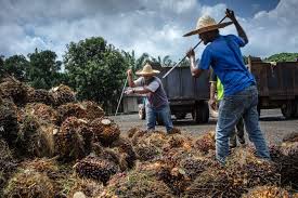 Revision questions  when was malaysia formed? Working Group Formed By Philippines Malaysia And Indonesia To Tackle Palm Oil Dumping Ig Bank Switzerland