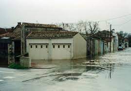 Télécharger des livres par émilie guelpa date de sortie: 1983 50ans Communaute D Agglomeration Royan Atlantique