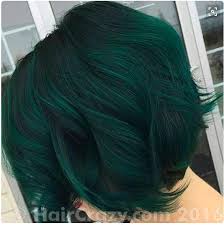Hair color is a fun way to spruce up one's look without getting a hair cut or new style. Dark Emerald Green Forums Haircrazy Com
