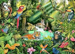 Jungle Variant 1 By Mgl Meiklejohn Graphics Licensing In 2021 Jungle Art Jungle Animal Art Jungle Drawing