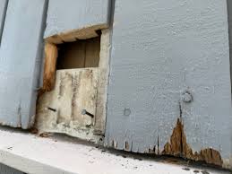 Image result for site:byggahus.se fasadrenovering