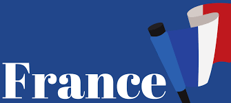 Public officials in the legislative and executive branches are either elected by the citizens (directly or indirectly) or appointed by elected. European Elections 2019 The French Perspective Dr2 Consultants