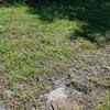 It offers a wide variety of plans, a la carte services, highly trained technicians, and has broad national reach. Top 641 Trugreen Lawn Care Reviews