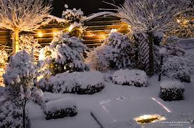 Bioscoopjournaals waarin nederlandse onderwerpen van een bepaalde week worden gepresenteerd. Sneeuw In Beeld Een Witte Wereld Meteo Hellevoetsluis