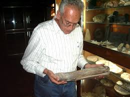 The name refers to the brazilian state ceará and combines this with greek daktylos, finger, a reference to the wing finger of pterosaurs. G Leonardi With The Skull Holotype Of Cearadactylus Atrox Download Scientific Diagram