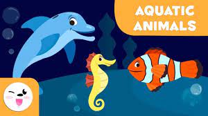 Aquatic Animals Song In 2021 Aquatic Animals Animals For Kids Clown Fish