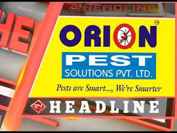 Orion pest solutions pvt ltd. Orion Pest Solutions Pvt Ltd News Promo Youtube