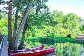 Canoe Rental at Wekiwa Springs for a Waterway Adventure in Apopka