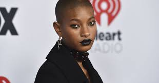 Willow cancels Summerfest performance, replaced with Gayle and Nessa Barrett