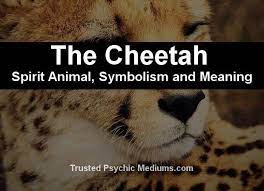 The Cheetah Spirit Animal A Complete Guide To Meaning And Symbolism Spirit Animal Animals Power Animal