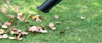 Discover the best automatic pool cleaners in best sellers. Best Way To Pick Up Acorns From Lawn Acorn Pick Up Tools Zodega