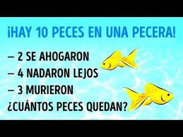 4 Acertijos Capciosos Que Pondran A Prueba Tu Inteligencia Youtube Adivinanzas Y Acertijos Acertijos Dificiles Acertijos Matematicos Para Ninos