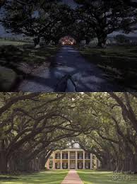 The complete and interactive red dead redemption 2 horses database for ps4, xbox one & pc, featuring the full list of horses in rdr2 and red dead online.explore and filter all horse types by breed, acquisition method, location to find wild horses, as well as sort by base value (price), statistics and red dead online unlock rank. Facebook