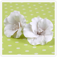 And then they are airbrushed with edible yellow and deep pink paint. Handmade Gumpaste Azalea Flowers Azalea Flower White Hibiscus Azaleas