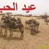 3 صور بوستات مضحكة جدا. Https Encrypted Tbn0 Gstatic Com Images Q Tbn And9gctrnlfnjfiqyw65kl9wgzubuwcbocmnhmtlviv2etnqeanbuvcg Usqp Cau
