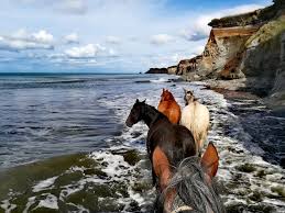 The patagonia trail horse riding holidays in argentina globetrotting. The World S End Horse Riding In Argentina Equestrian Adventuresses