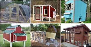 Having discussed the different kinds of chicken pallet coops, it's good if you put the ideas into practice. 20 Free Diy Chicken Coop Plans You Can Build This Weekend Diy Crafts