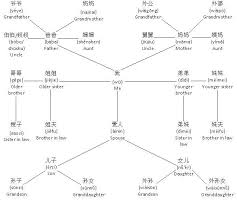 chinese relationship tree my chinese notebook