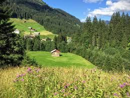 Ein kurzer auszug,was es im haus der natur alles zu sehen gibt.ronsebast,rsbt 2k14,hallein,salzburg. Altes Haus In Der Natur Foto Bild Hutte Landscape Austria Bilder Auf Fotocommunity