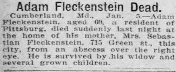 Adam Fleckenstein (1855-1915)