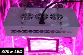 Our full spectrum led grow lights deliver the perfect range of light for strong crops and massive blooms. Led Grow Lights 180w 240w 300w 600w Grow Lights