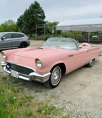 Image result for Dusk Rose 1957 Thunderbird