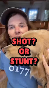 Trump said he was shot. I say it was an expensive publicity photo. Ears,  ketchup, and Claire's piercing blood — my theory's funnier than his story.  #PaulaPoundstone #Comedy #Satire #Trump #PoliticalHumor #StandUpComedy #
