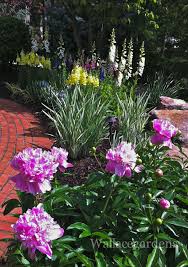 The full list, compiled by rutgers new jersey agricultural. Wallace Gardens Deer Resistant Garden Deer Proof Plants Deer Resistant Plants